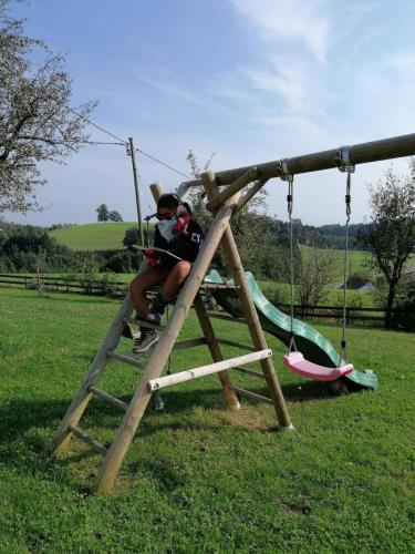 Lesen mit Sonnenbrille auf Schauckel (2)